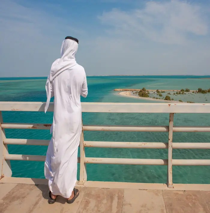 thumbnail17532665484285highlightsofsaudiarabiawithredsea